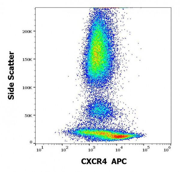 Anti-CXCR4 (APC), clone 12G5