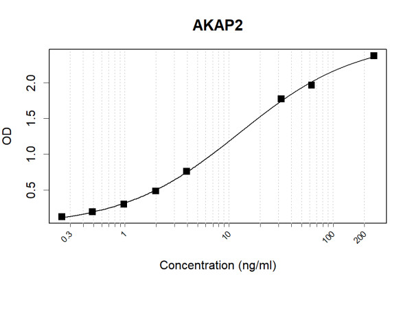 Anti-Human PALM2AKAP2 Antibody Pair