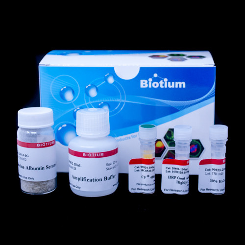 Tyramide Amplification Kit with HRP Streptavidin and CF(R)543 Tyramide