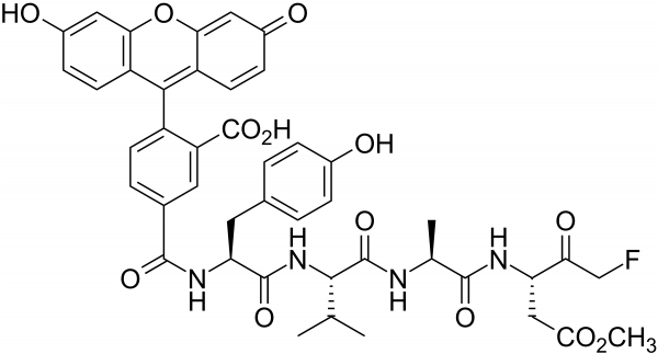 5-FAM-YVAD-FMK