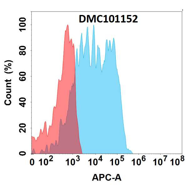 Anti-GPNMB antibody(11G4), IgG1 Chimeric mAb
