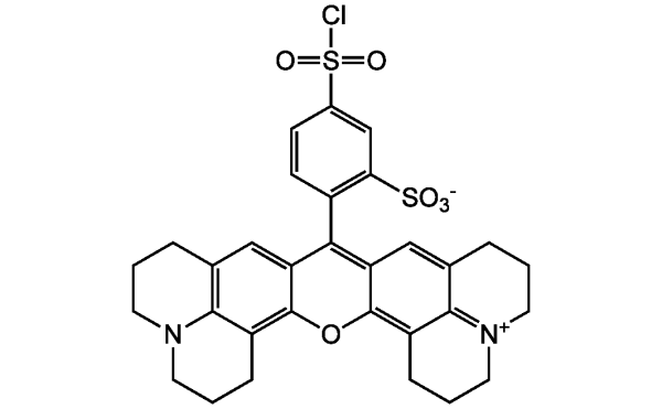 Sulforhodamine 101 acid chloride