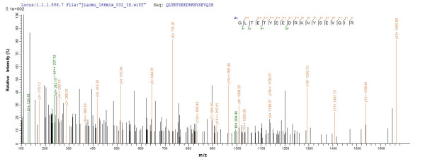 Progesterone-induced-blocking factor 1 (PIBF1), human, recombinant