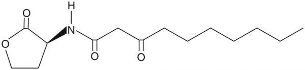 N-3-oxo-decanoyl-L-Homoserine lactone