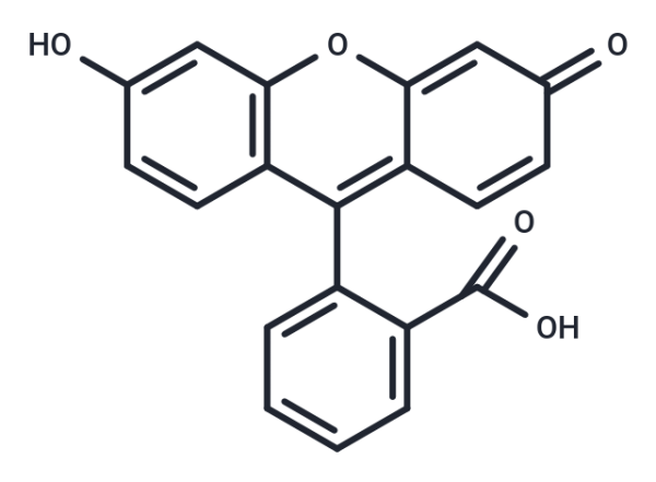 Fluorescein