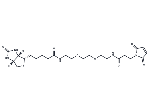 Biotin-PEG2-Mal