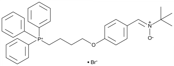 MitoPBN