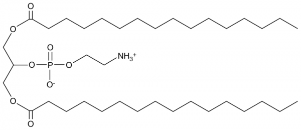 1,3-Dipalmitoyl glycero-2-PE