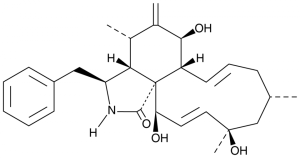 Cytochalasin J