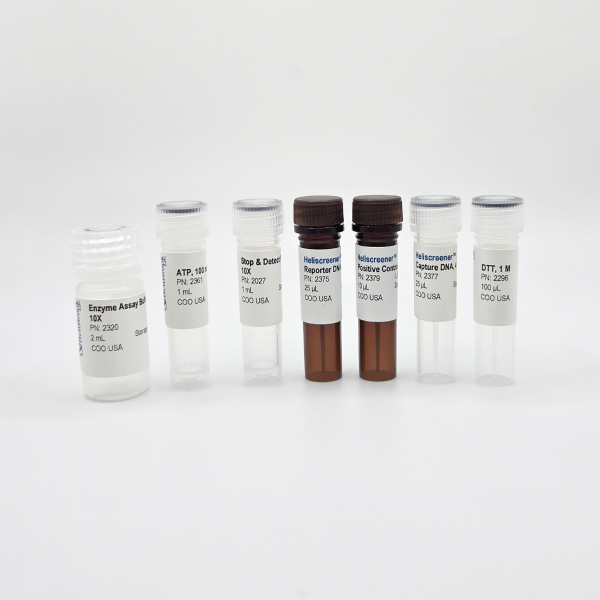 Heliscreener(TM) WRN Helicase Unwinding Assay