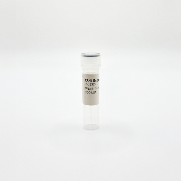 Recombinant XRN1 Enzyme, Active, Human