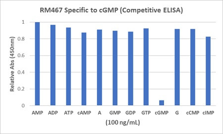 Anti-cGMP, Rabbit Monoclonal (RM467)