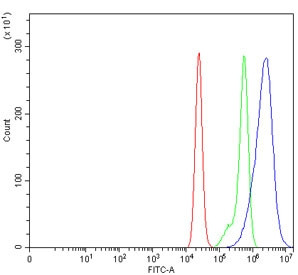 Anti-BRSK2 / Brain-selective kinase 2
