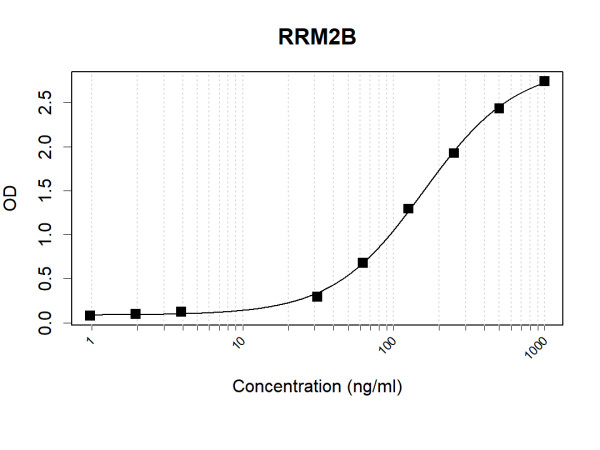 Anti-Human RRM2B Antibody Pair