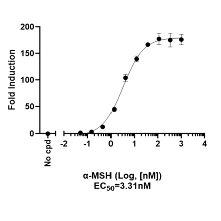 MC4R Cre-CREB Luciferase Reporter HEK293 Cell Line