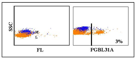 Anti-subset gamma delta T cells (swine), clone PGBL31A
