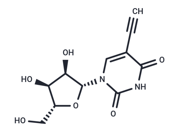 5-Ethynyluridine