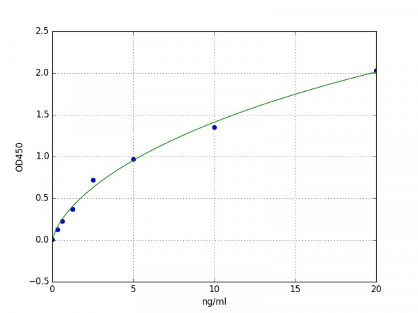 Human Phosphofructokinase, Muscle / PFKM ELISA Kit