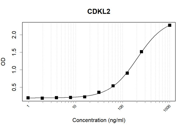 Anti-Human CDKL2 Antibody Pair