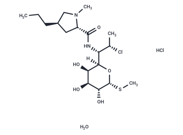 Clindamycin hydrochloride monohydrate