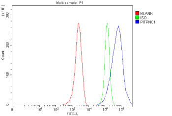 Anti-PITPNC1 / Phosphatidylinositol transfer protein cytoplasmic 1
