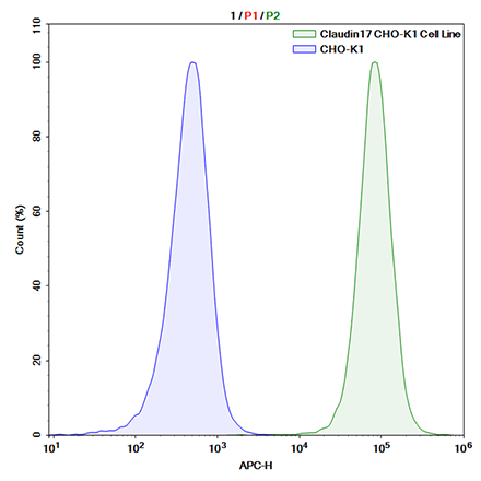 Claudin-17 (CLDN17) CHO Cell Line