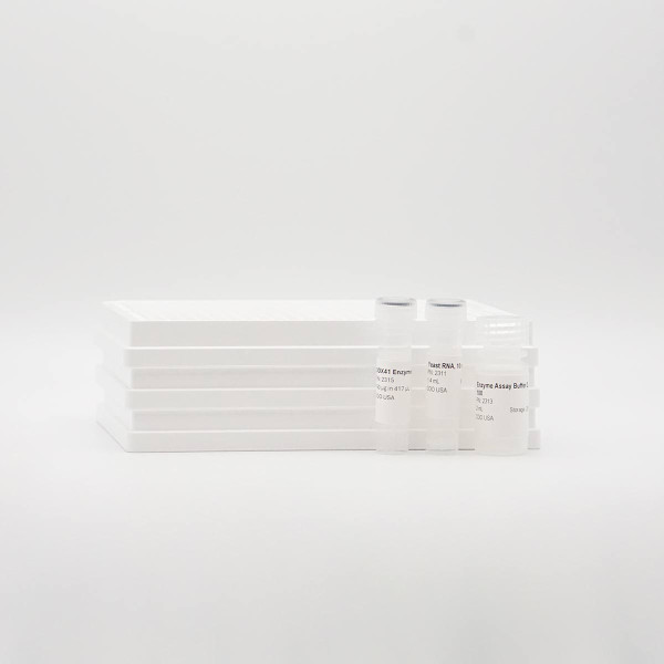 Enzolution(R) DDX41 ATPase TR-FRET Assay System