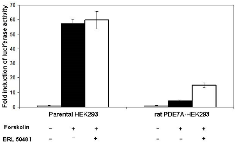 PDE7A-HEK293, rat recombinant cell line, 1x10(6) cells