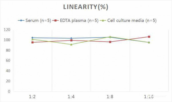 Rat BMP-4 (Bone Morphogenetic Protein 4) CLIA Kit
