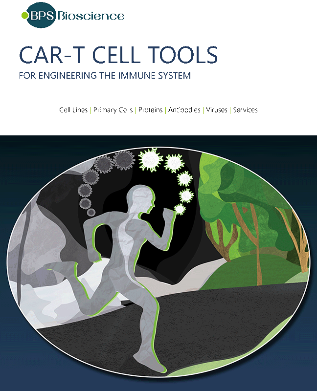 BPS Bioscience CAR-T Cell Tools