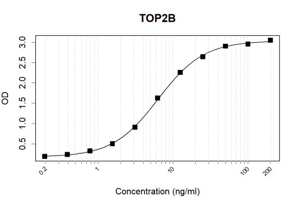 Anti-Human TOP2B Antibody Pair