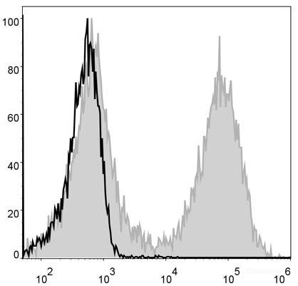 Anti-Mouse MHC II (I-A/I-E) (FITC Conjugated)[M5/114], clone M5/114