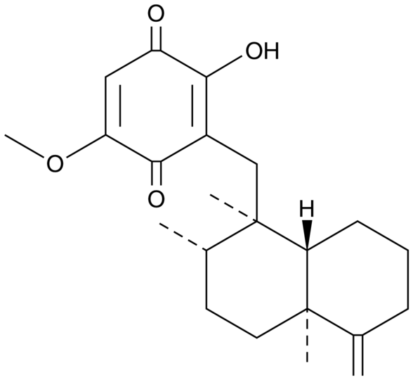 Ilimaquinone