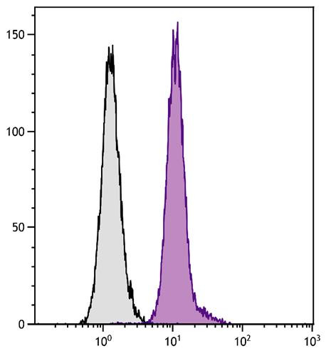 Anti-CD13, clone 22A5