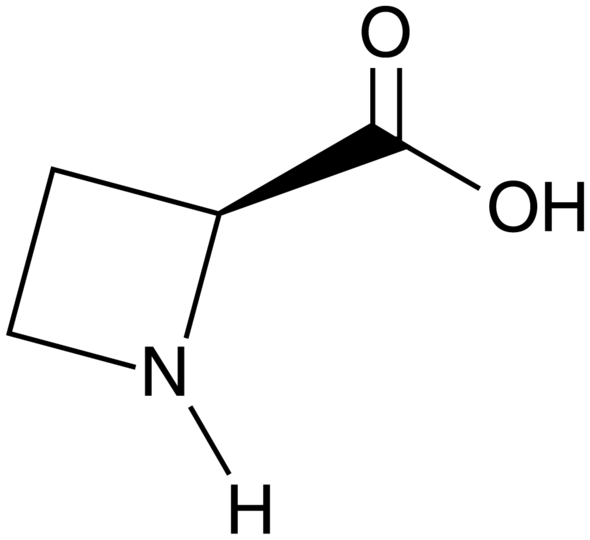 L-Azetidine-2-carboxylic Acid