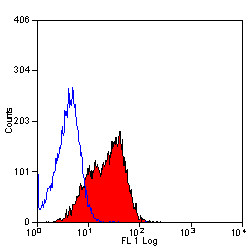 Anti-CD150 / SLAM (RPE), clone 9D1