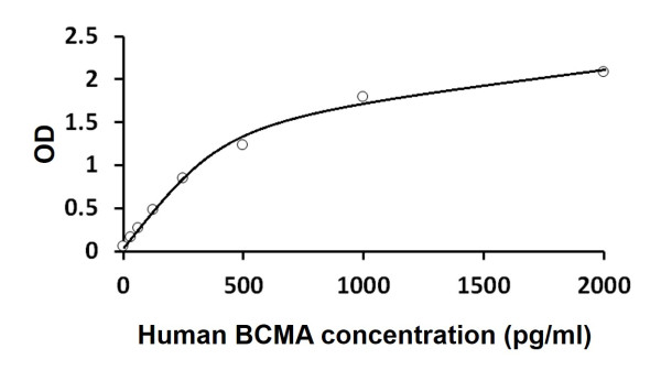 Human BCMA ELISA Kit