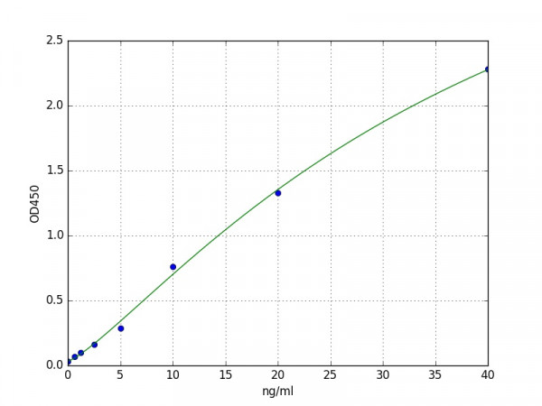 Human RPL13 ELISA Kit