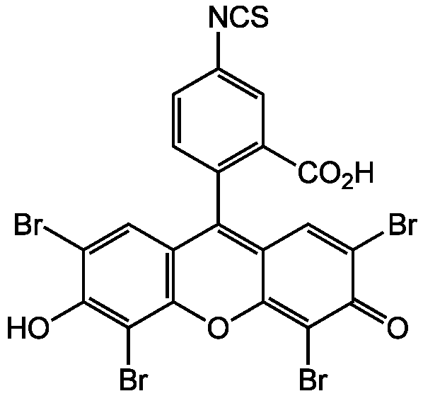 Eosin-5-isothiocyanate