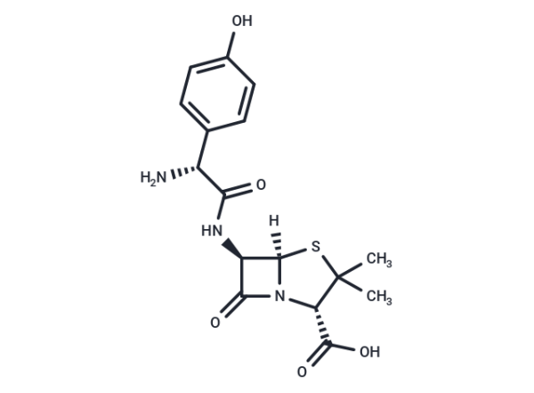 Amoxicillin