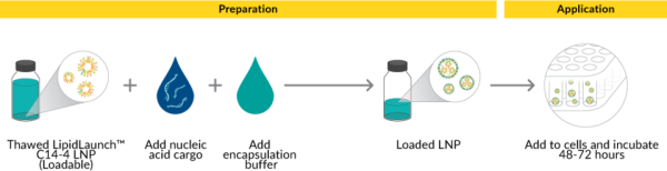 LipidLaunch(TM) C14-4 LNP Kit (Loadable)