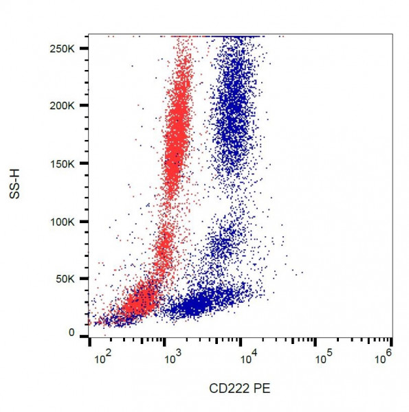 Anti-CD222 / IGF2 receptor / CIMPR, clone MEM-238 (PE )