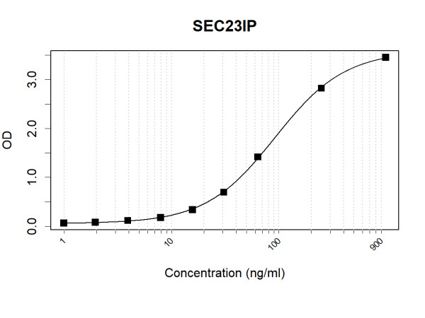 Anti-Human SEC23IP Antibody Pair