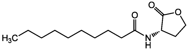 N-Decanoyl-L-homoserine lactone