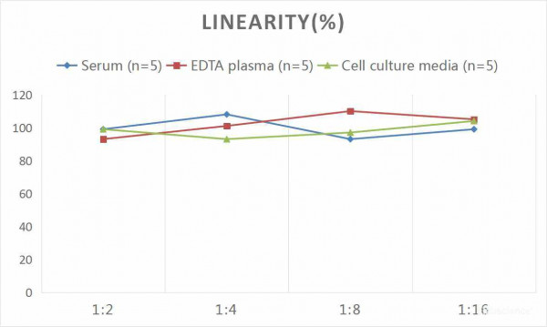 Human DEFalpha5 (Defensin Alpha 5, Paneth Cell Specific) CLIA Kit