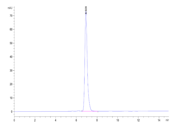 Human HLA-A*02:01&amp;B2M&amp;Survivin (LTLGEFLKL) Tetramer Protein