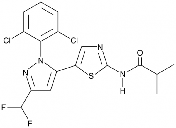 BMS-5