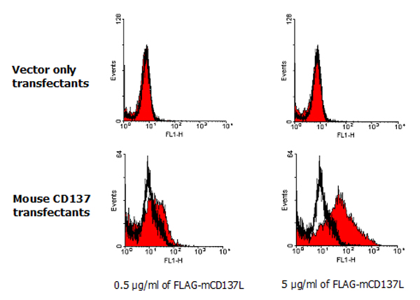 CD137L, Soluble (mouse) (rec.)