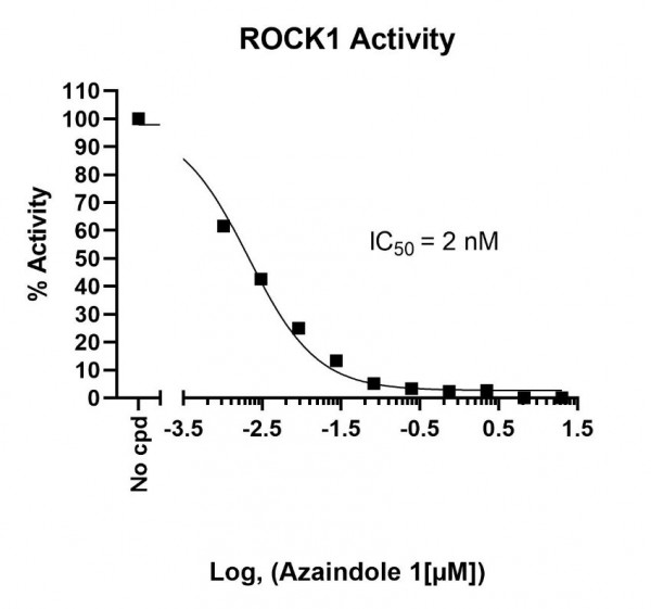 ROCK1 Kinase Assay Kit