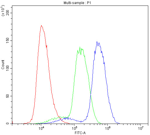 Anti-ABI1 / SSH3BP1